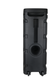 2 X 10" TWS LIGHT UP BLUETOOTH SPEAKER-FM RADIO