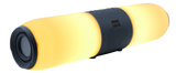 LED LIGHT UP BLUETOOTH SPEAKER-FM RADIO