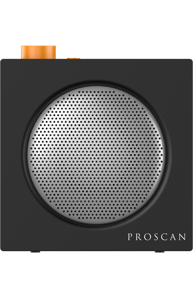 TWS PORTABLE BLUETOOTH SPEAKER