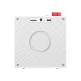 TWS PORTABLE BLUETOOTH SPEAKER