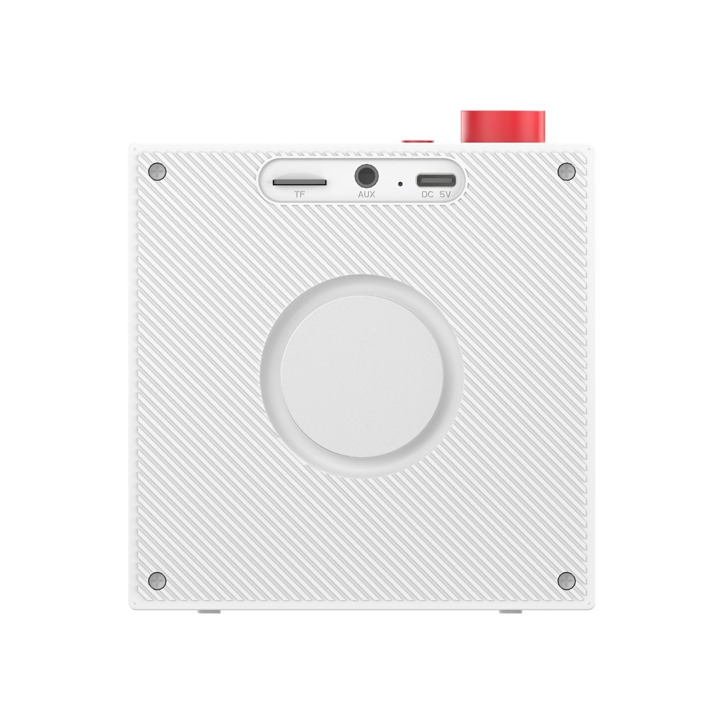 TWS PORTABLE BLUETOOTH SPEAKER