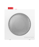 TWS PORTABLE BLUETOOTH SPEAKER
